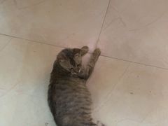 -鱼乐岛餐厅·户外花园主题餐厅