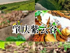 -紫云谷景区