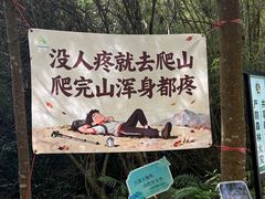 -广州白江湖森林公园