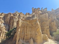 -元谋土林景区(物茂土林)