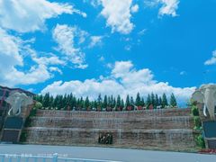 -贵州森林野生动物园