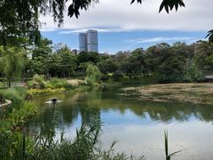-四海公园(南山区)