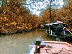 -西溪国家湿地公园