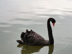 -中国移动南方基地