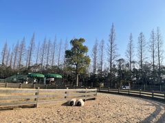 -前小桔亲子创意农场·草莓采摘·露营烧烤