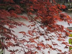 -不晚酒店(苏州观前平江路店)