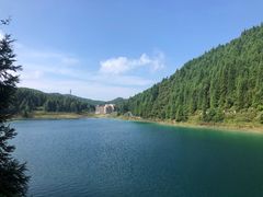 -武陵山森林公园