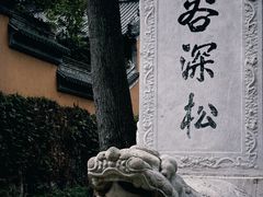 -灵谷景区