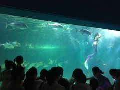 -常州海昌海洋探索馆