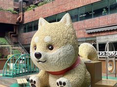 -新城市广场