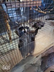 -酷嗒动物文化乐园(cutezoo西溪乐天城店)