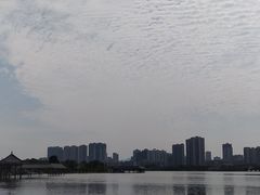 -飞来湖湿地公园