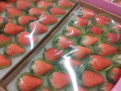 -盒马X会员店(王府井奥莱UP TOWN店)
