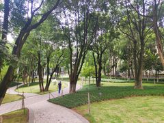 -重庆市江北嘴中央商务区中央公园