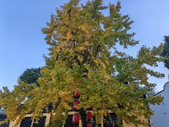 -无锡惠山寺