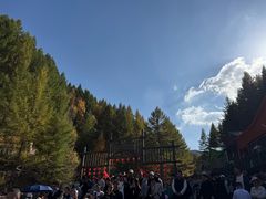 -苏木山森林公园