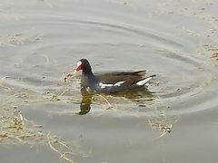 -前关湿地公园