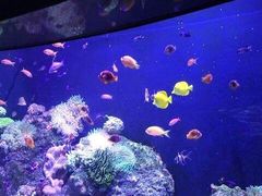 -成都浩海立方海洋公园