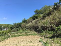 -狼山风景名胜区