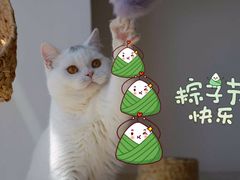 -坎爷秘制火锅(科华北路店)