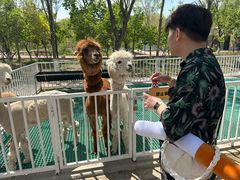 -水上乐园·欢乐世界