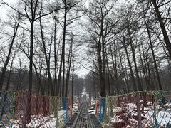 -沂蒙山旅游区云蒙景区(蒙山国家森林公园)