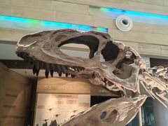 -安徽省地质博物馆