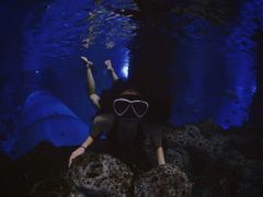 -临沂极地海洋王国