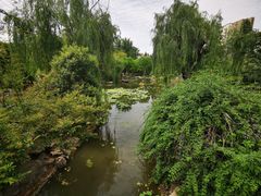 -郑和公园
