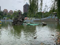 -团结湖公园