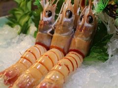 新西兰鳌虾-哈尔滨索菲特大酒店-意日本料理铁板烧