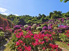 -三亚蜈支洲岛旅游区