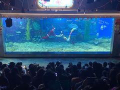 -顺德南宏海立方海洋公园