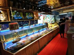 水产区-必点海鲜·鲅鱼水饺(鞍山西道店)