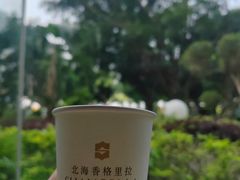 -大堂酒廊(北海香格里拉大酒店)