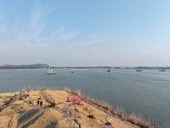 -香雪海