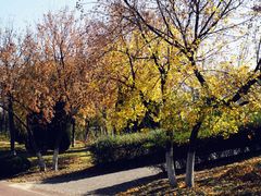 -济南国际园博园