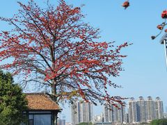 -喜洲吧·江畔老船厂·庭院餐厅(喜临院店)