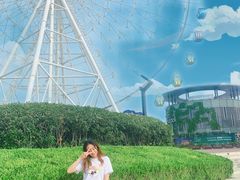 -琴岛之星摩天轮
