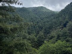 -苍山感通索道