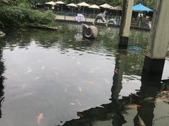 -南昌动物园