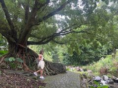 -广州市石门国家森林公园