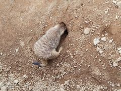 -杭州野生动物世界