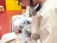 -和它·交个朋友·狗咖猫咖(爱琴海店)