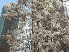 -汉堡王(北京三里屯购物中心)