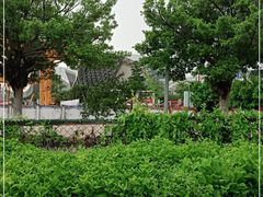 -广东科学中心