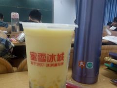 -蜜雪冰城(新华路店)
