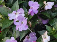 -长沙滨江文化园