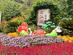 -广州白江湖森林公园