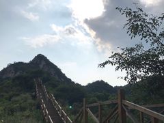 -大岭沟猕猴桃谷风景区